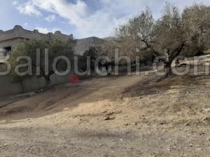 berket essehl tt pres terrain de golf 1000m²