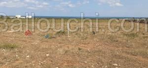 Lebna, un terrain de rêve a 100m de la plage