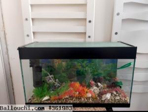 Aquarium avendre