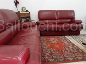 Salon en vrai cuir