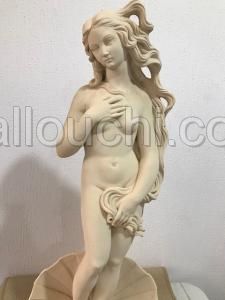 DECORATION DE SALON OU DE JARDIN OU PICSINE