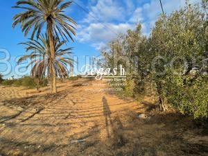 Terrain à vendre à 4 minutes de la plage Seguia
