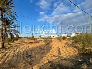Terrain à vendre à 4 minutes de la plage Seguia