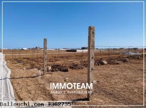 Terrain à vendre sabrine 21 256 253