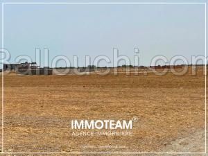 Terrain à vendre sabrine 21 256 253