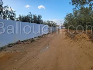 Terrain de 1800 m² à vendre à Hammamet Sud 51355351