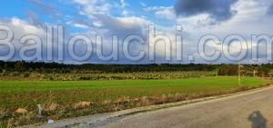 A Vendre Un Terrain À Keliba À Coté De L'iset 3M752