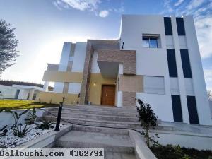V298 Villa CYCAS HAMMAMET OL