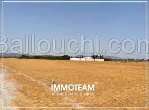 Terrain à vendre sabrine 21 256 253