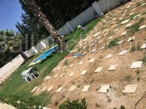 soliman , une ferme avec deux villas et une piscine .