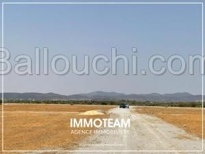 Terrain à vendre sabrine 21 256 253