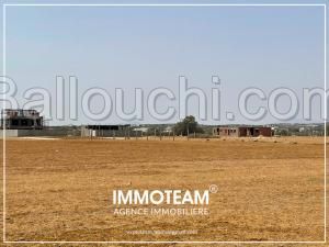 Terrain à vendre sabrine 21 256 253