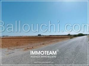 Terrain à vendre sabrine 21 256 253
