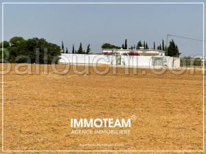 Terrain à vendre sabrine 21 256 253