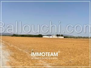 Terrain à vendre sabrine 21 256 253