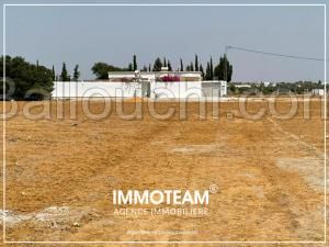 Terrain à vendre sabrine 21 256 253