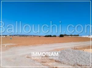 terrain a vendre sabrine 21 256 253