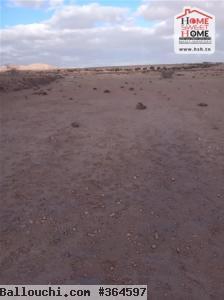 Terrain Agricole Magel Bel Abbes à Vendre à Kasserine