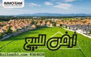 terrain a vendre contactez AMAL 29256483