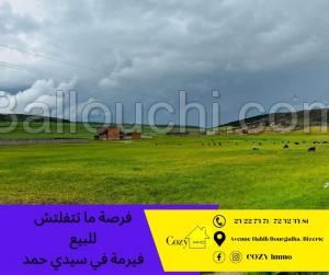 une ferme à sidi hmed