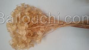 Fleurs crystal naturel