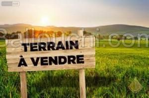 TERRAIN AFH (Réf: T1687)