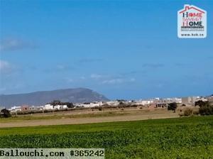 Terrain Villa Torres à Vendre à Dar Allouche, Nabeul
