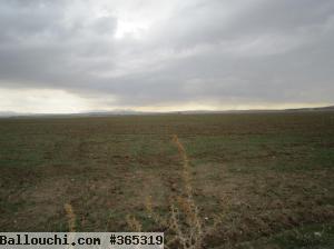 Terrain 10 hectare sminja