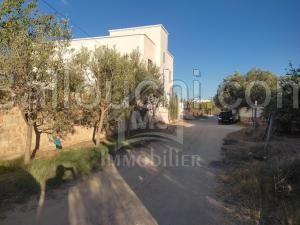 Terrain de 480 m² à vendre à Hammamet zone théâtre 51355351