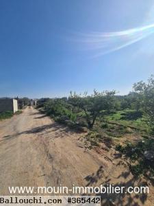 TERRAIN GINA à Hammamet vers Birbouregba T1085