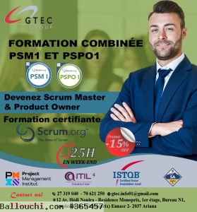 Devenez un expert Agile Scrum Ou Product Owner!