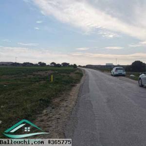 VT790:Terrain agricole 5966 m² à menzel temim