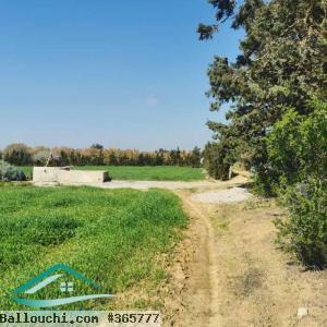 VT792:Terrain agricole 5000 m² à Tahert Kelibia