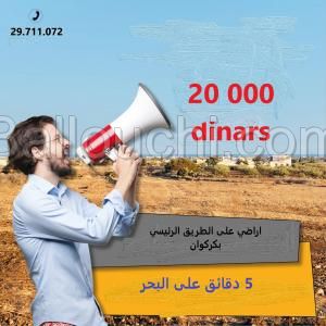 Terrain a vendre à kerkouane kélibia