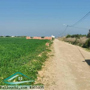 VT793:Terrain 300 m² à dar Allouche
