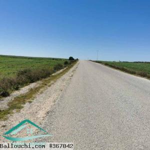 VT804Terrain 3207 m² à wed khatf Kelibia
