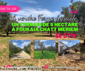 TaRéf139Terrainde5hectareafoukaiachattmeriem