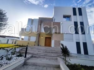 V298 Villa CYCAS HAMMAMET TT