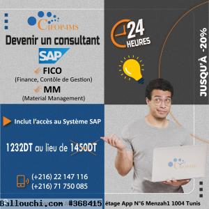 Formation SAP FICO & MM