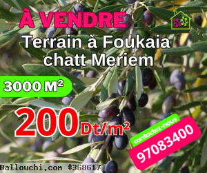 RéfTA382Terrainde3000m²àfoukaia200DTlem²