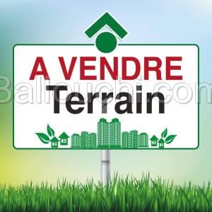 Terrain agricole à vendre à chott mariem
