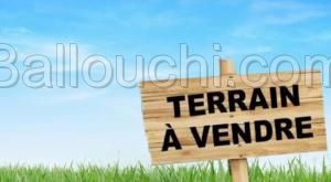 TERRAIN CHAIMA ZONE CRAXI
