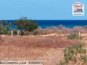Terrain Villa Abboud à Vendre à Hammem Ghazez