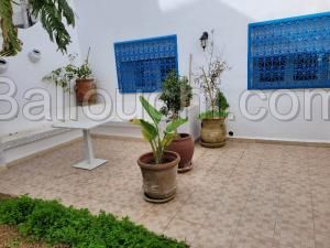 Maison OLYMPIA pour la vente hammamet