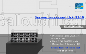 Serveur powervault NX 3100