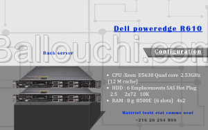 Liquidation 2 serveur Dell poweredge R610