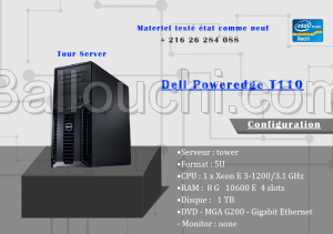 Dell Poweredge T110