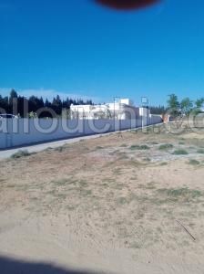 1000 m2 à l’entrée d'Hammamet Nord