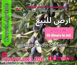 RéfTA375Terrainde4993m²a#FoukaiaChottMeriem