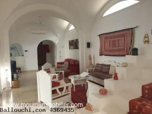 Villa Leonardo AL2897 Hammamet zone theatre